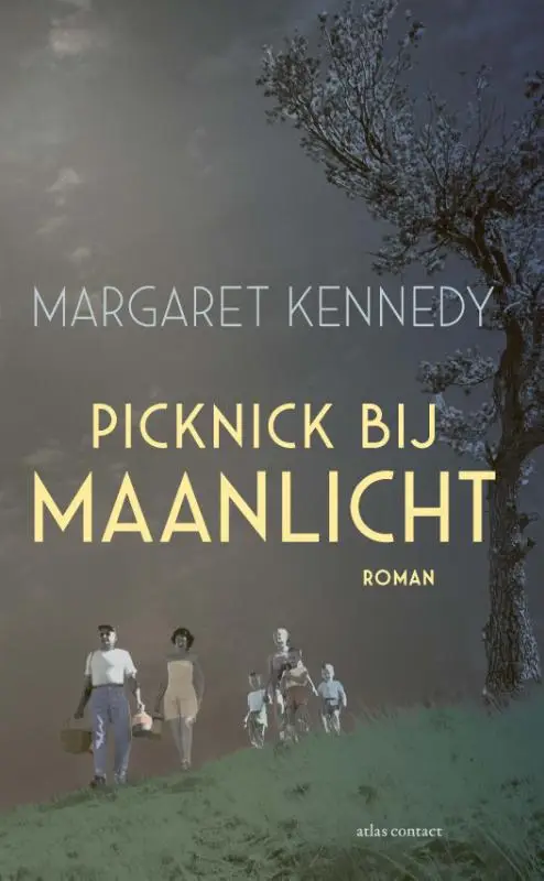 Picknick bij maanlicht