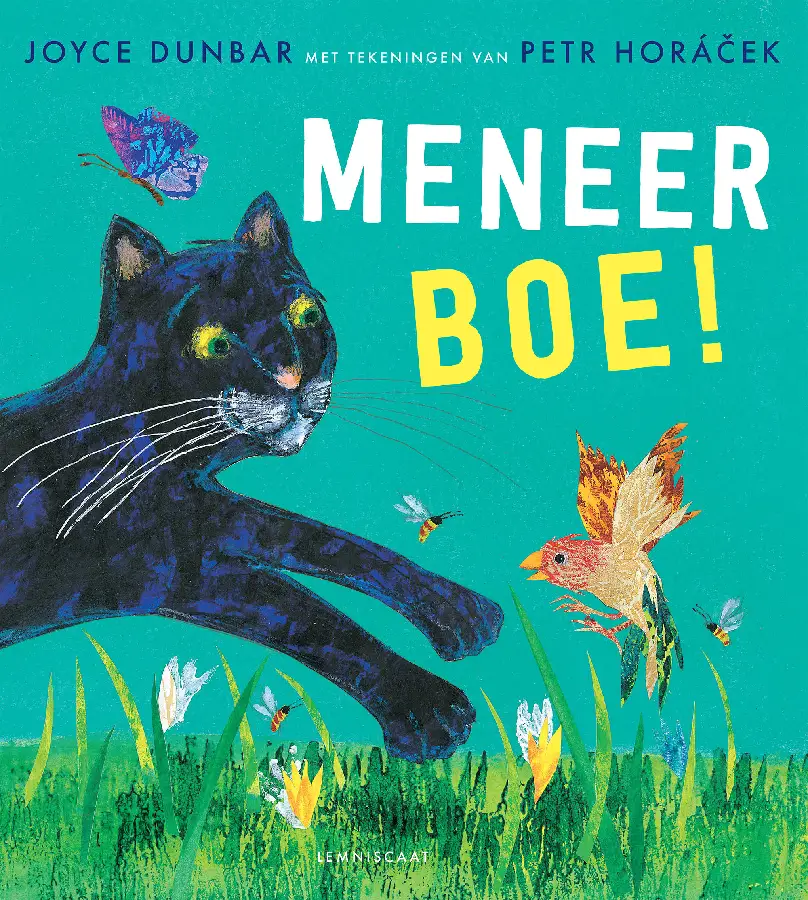 Meneer boe!