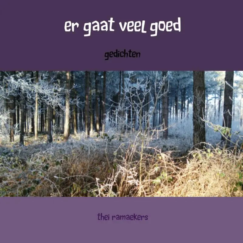 Er gaat veel goed