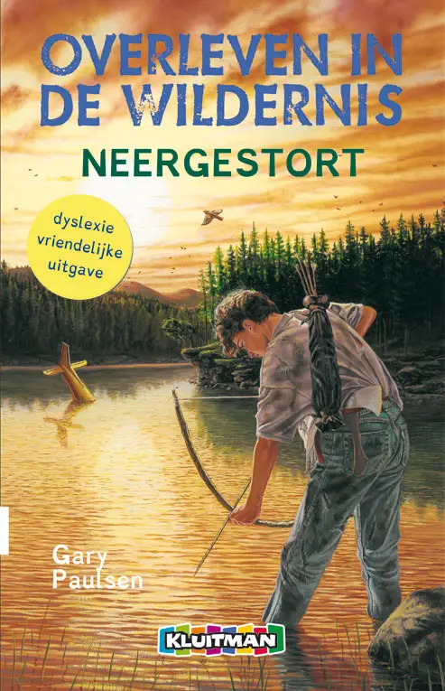 Neergestort DYSLEXIE